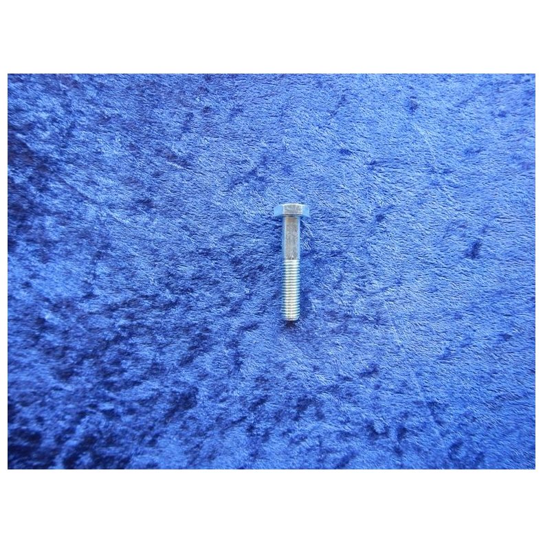 10x55mm zinkbelagt bolt 60101-10055