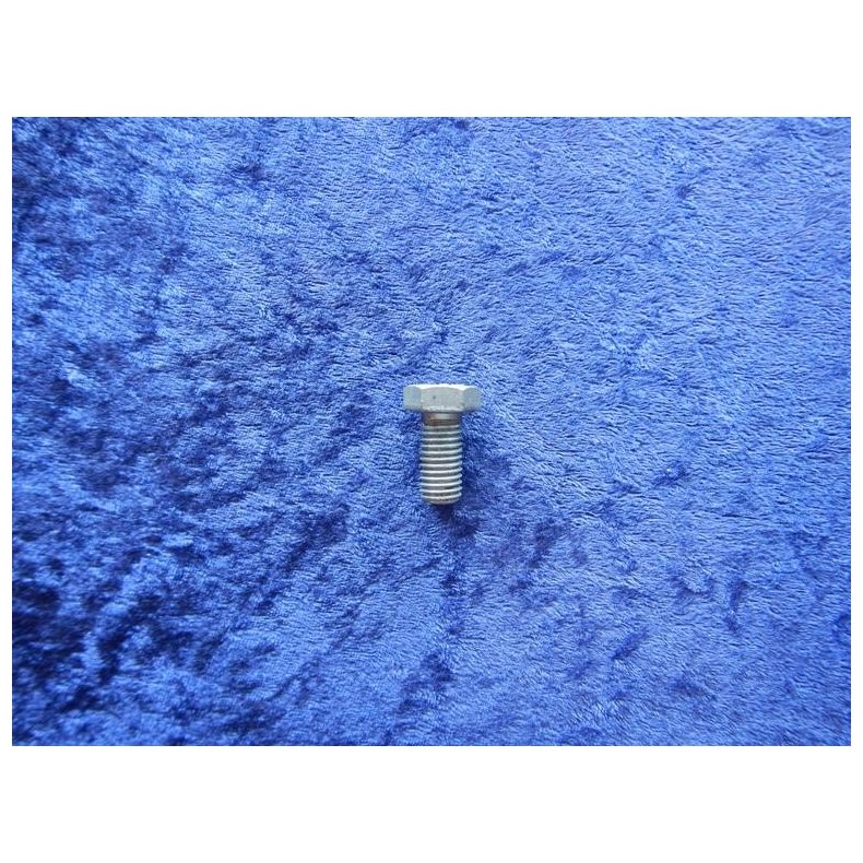 12x25mm zinkbelagt bolt 60102-12025