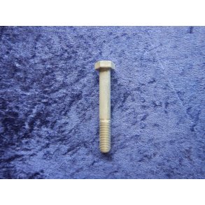 14x100mm zinkbelagt bolt 60101-14100