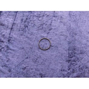 Bosch o-ring 1900210145