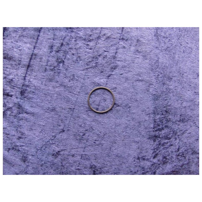Bosch o-ring 1900210145