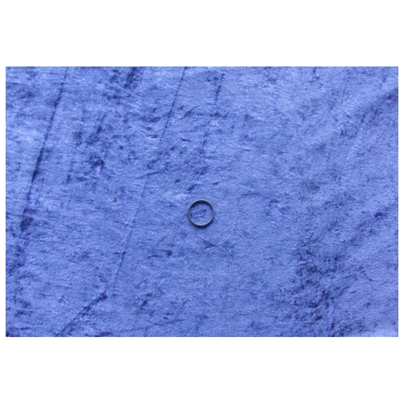 Bosch o-ring 2410210004