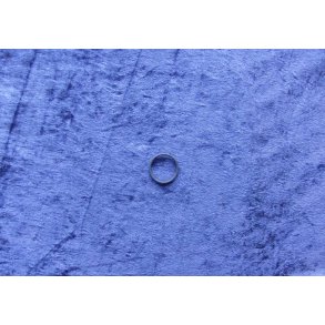 Bosch o-ring 2410210039