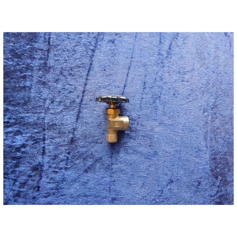 Cummins hane 300876000