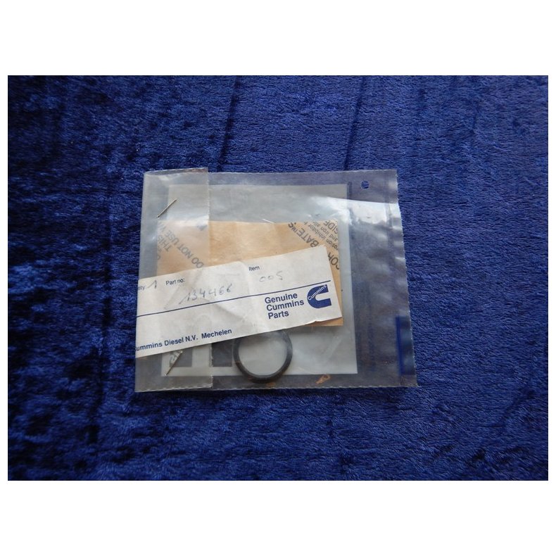 Cummins o-ring 013446600