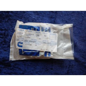 Cummins pakdse 302018700