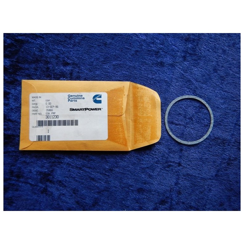 Cummins pakning 301123000