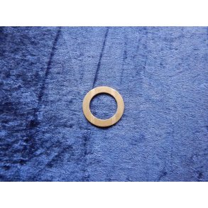 Cummins slrskive 302655700