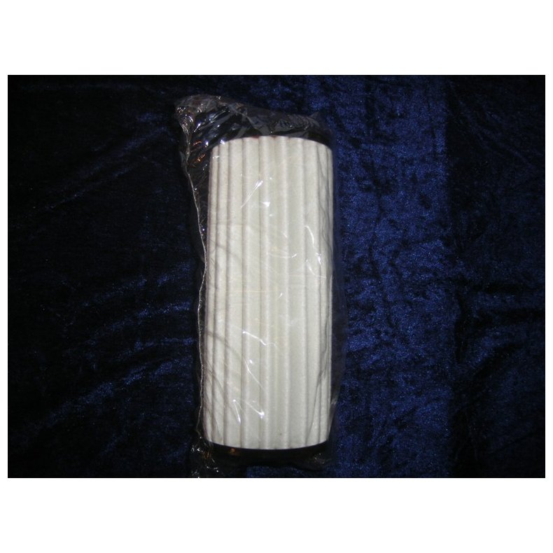 Fleetguard brndstoffilter FF5465