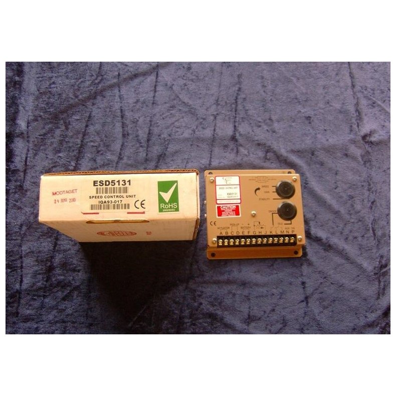 GAC Speed Control Unit ESD5131