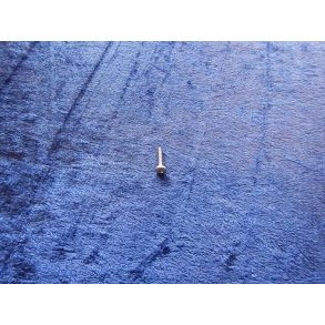 Philips rustfri pladeskrue rundhoved 60117-42020