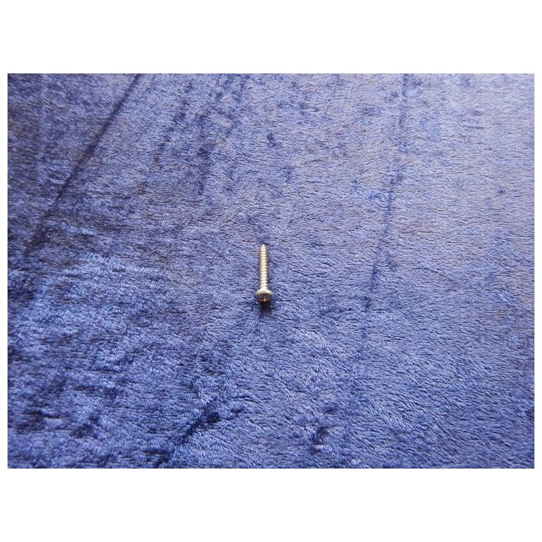 Philips rustfri pladeskrue rundhoved 60119-48022