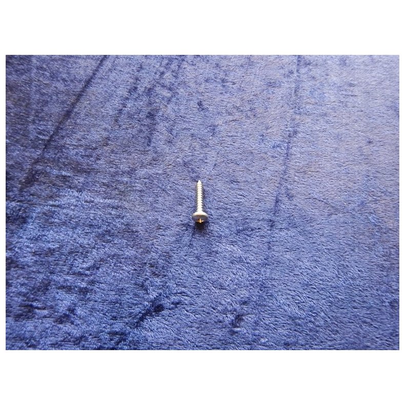 Philips rustfri pladeskrue rundhoved 60119-48025