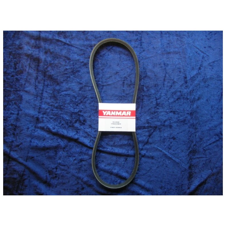 Yanmar kilerem 119831-42290-Q