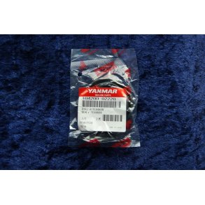 Yanmar pakdse 104200-02220