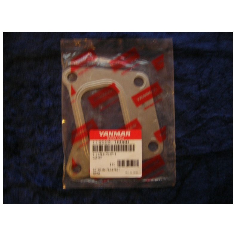Yanmar pakning 119593-18080