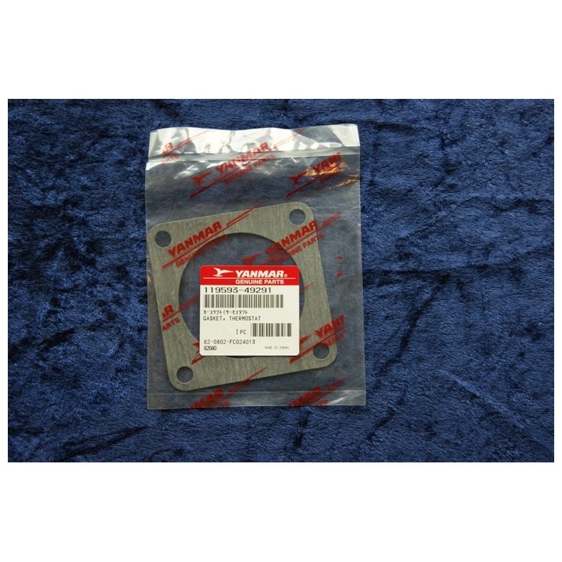 Yanmar pakning 119593-49291